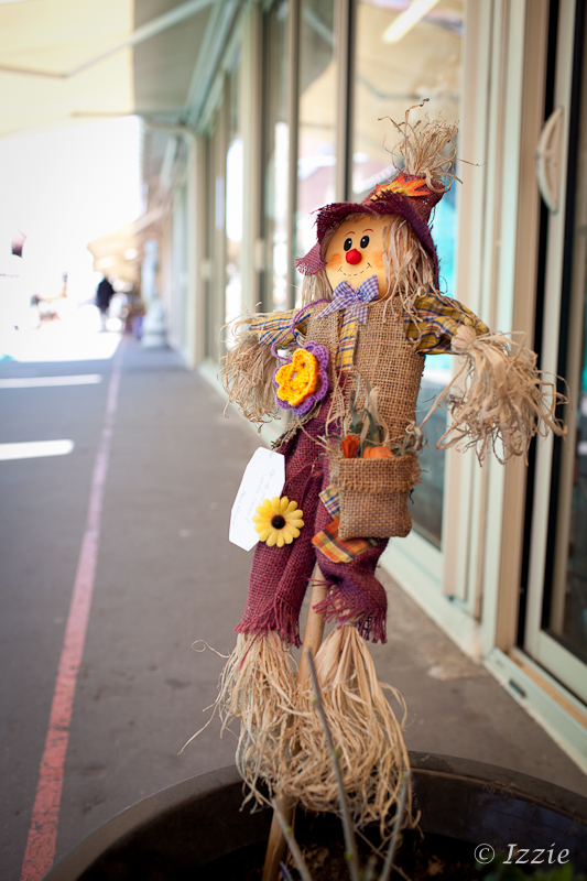 Flower bombing scarecrow